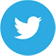 Dorothy Lawrence Twitter link